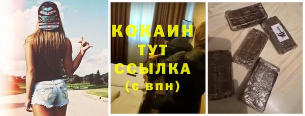 бошки Новодвинск