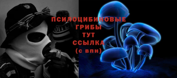 бошки Новодвинск