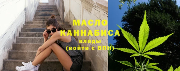 тгк Няндома