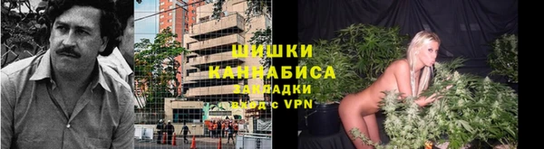 бошки Новодвинск