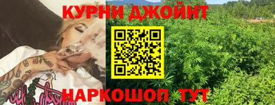 мдпв Гай