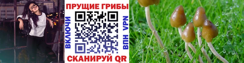 Галлюциногенные грибы ЛСД  Зеленогорск 