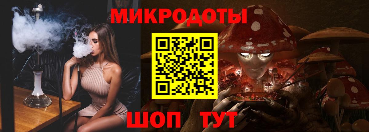 Псилоцибиновые грибы Psilocybe  как найти наркотики  Псилоцибиновые грибы Cubensis  Зеленогорск 