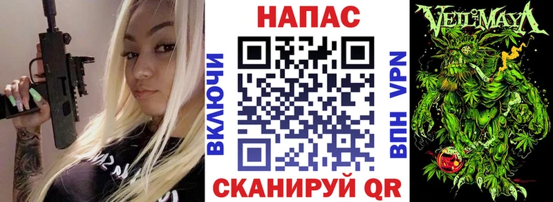 ссылка на мегу как войти  Зеленогорск  Каннабис индика 